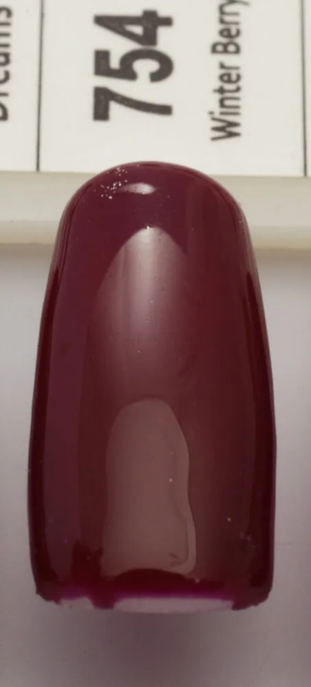 DND - 754 - Winter Berry - DUO Polish
