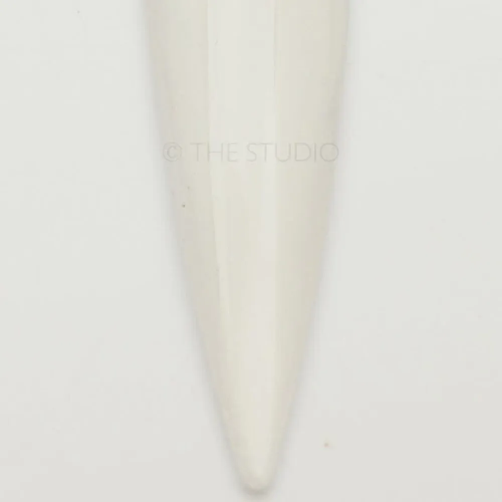Young Nails - Acrylic Powder - Core Clear