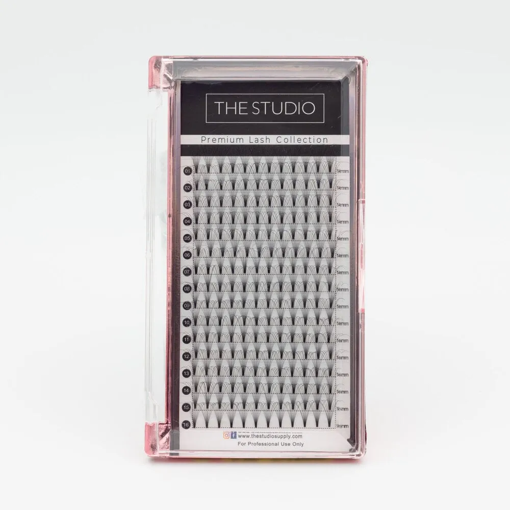 The Studio - Lash - PreVolume - 10D - .05 - C - 14mm