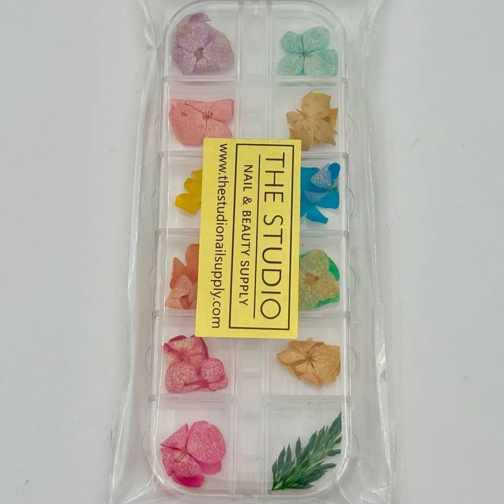 The Studio - Art Pack #397 - Assorted Dry Flowers - 07