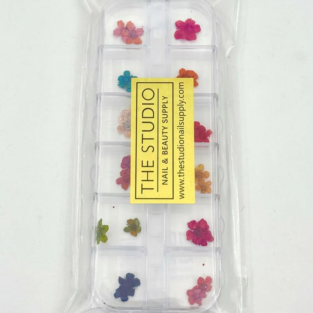 The Studio - Art Pack #394 - Assorted Dry Flowers - 04