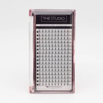 Lash - PreVolume - 7D - .07 - C - 13mm