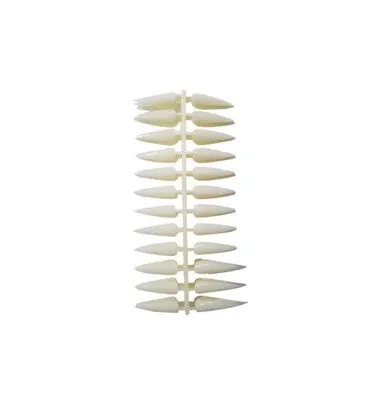 Tip Color Swatch - 24 Nail Sheet - Stiletto Natural - 10 count