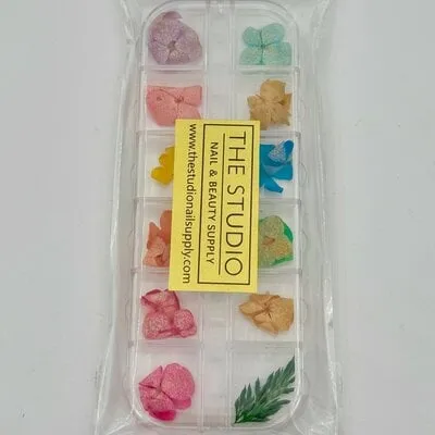 Art Pack #397 - Assorted Dry Flowers - 07