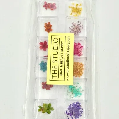 Art Pack #393 - Assorted Dry Flowers - 03