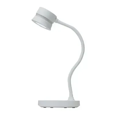 Duet Desk Lamp
